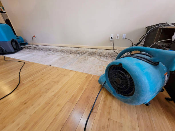 Professional Structural Drying technician working in Wellsville, PA